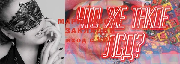 эйфоретик Новодвинск