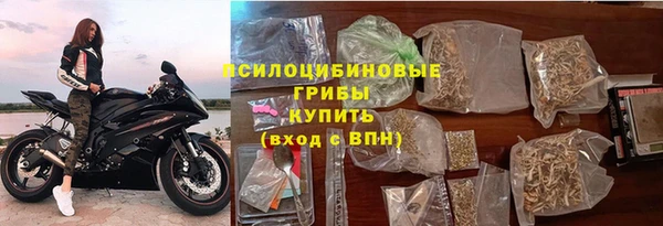 эйфоретик Новодвинск